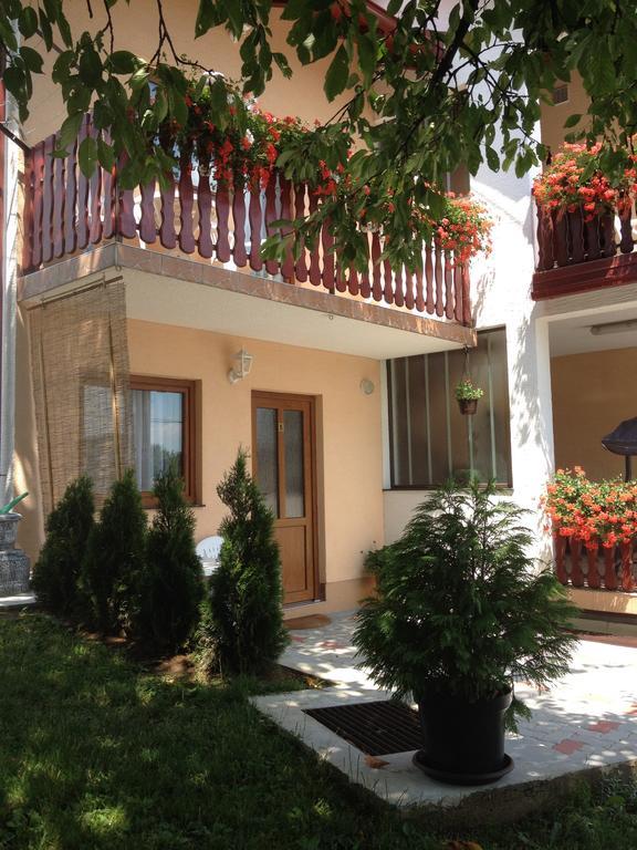 Guesthouse Ante Hodak Seliste Dreznicko Luaran gambar