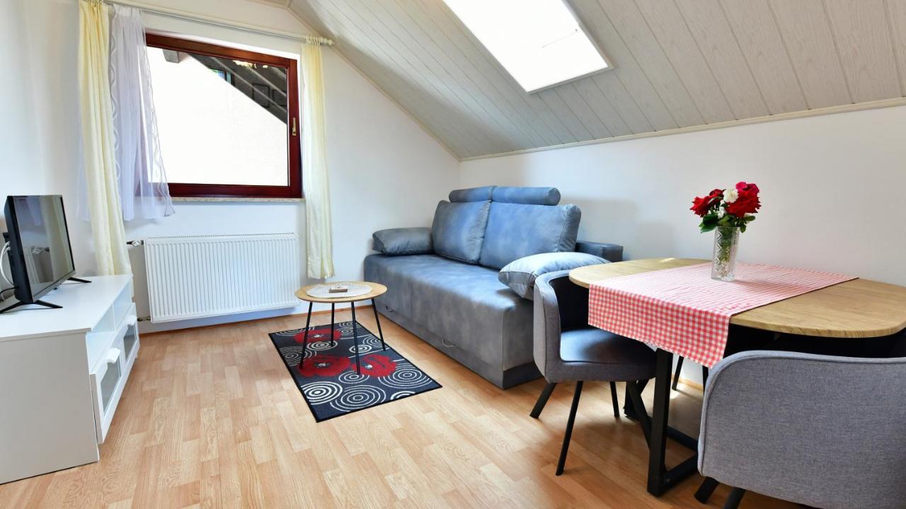 Guesthouse Ante Hodak Seliste Dreznicko Luaran gambar