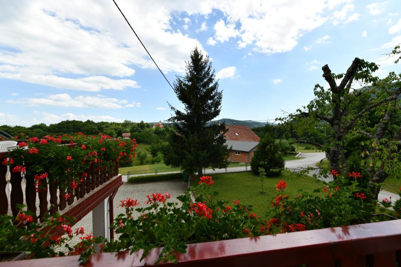 Guesthouse Ante Hodak Seliste Dreznicko Luaran gambar