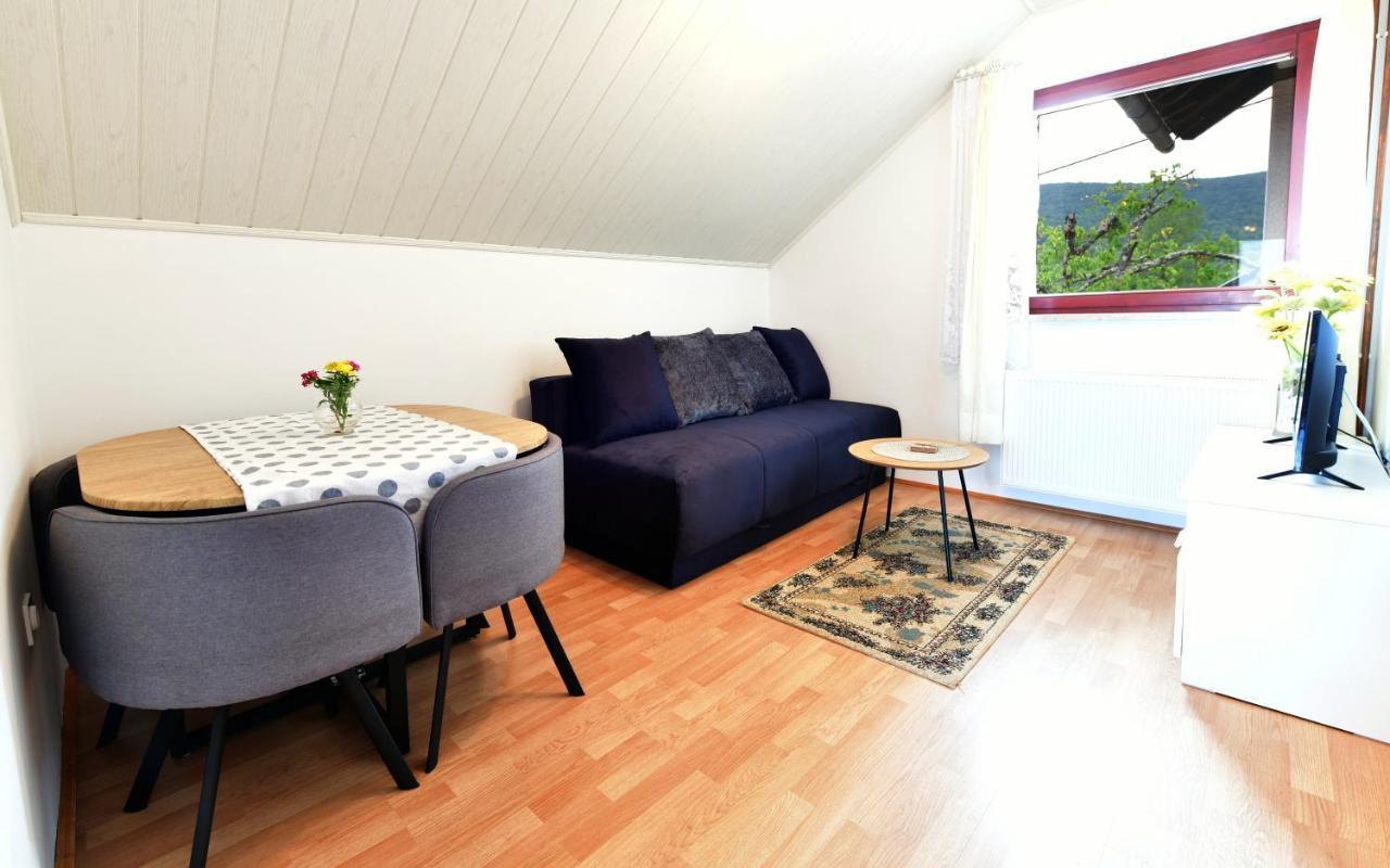 Guesthouse Ante Hodak Seliste Dreznicko Luaran gambar