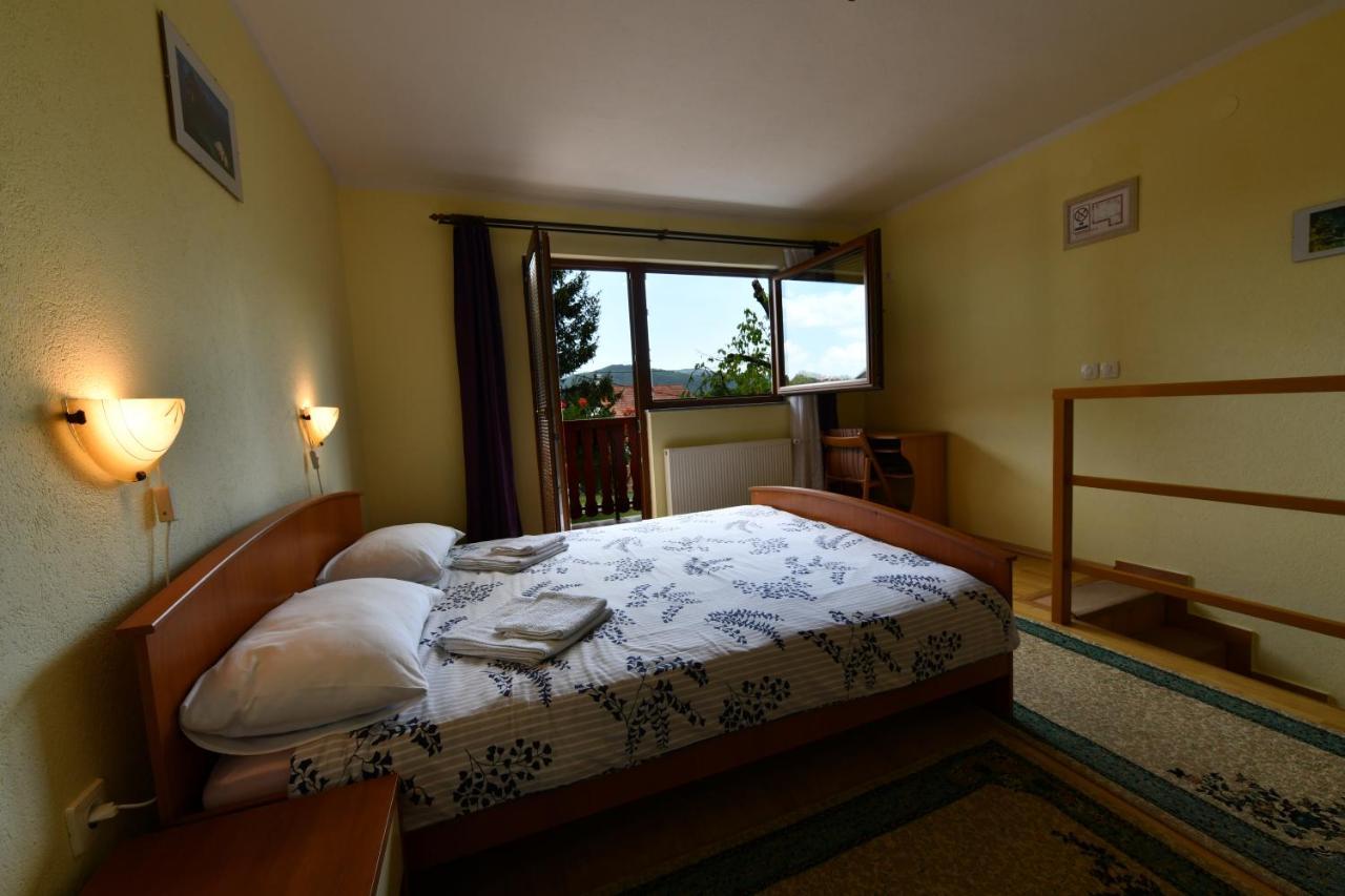 Guesthouse Ante Hodak Seliste Dreznicko Luaran gambar