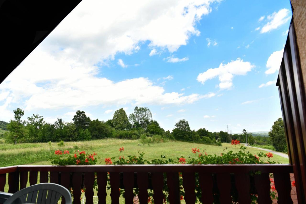 Guesthouse Ante Hodak Seliste Dreznicko Luaran gambar